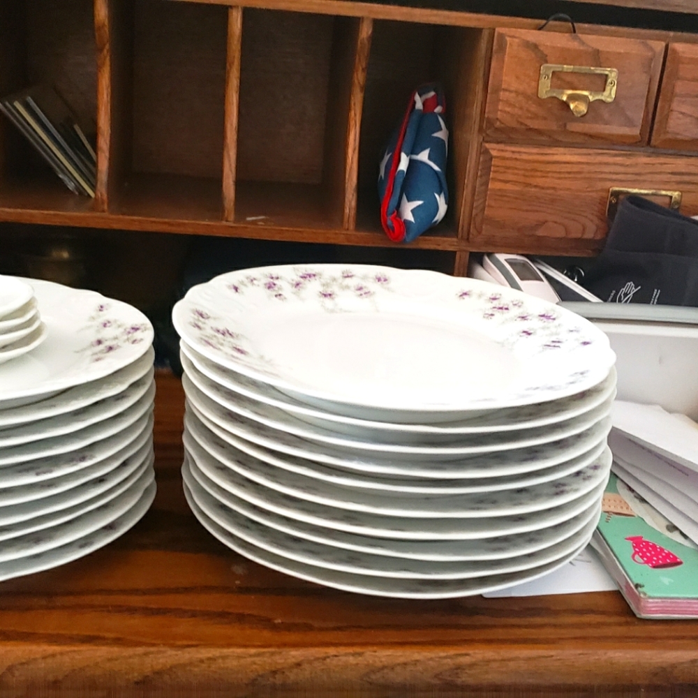 Altrohla Austria 10 Dinner Plates , 10 Salad plates ,4 Decorative plates .